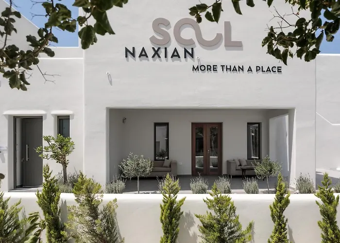 Aparthotel Naxian Soul 4*